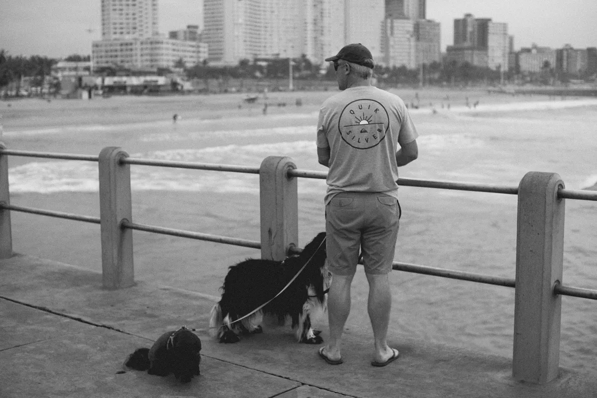 2022-09-18 - Durban -  Man on pier with dogs